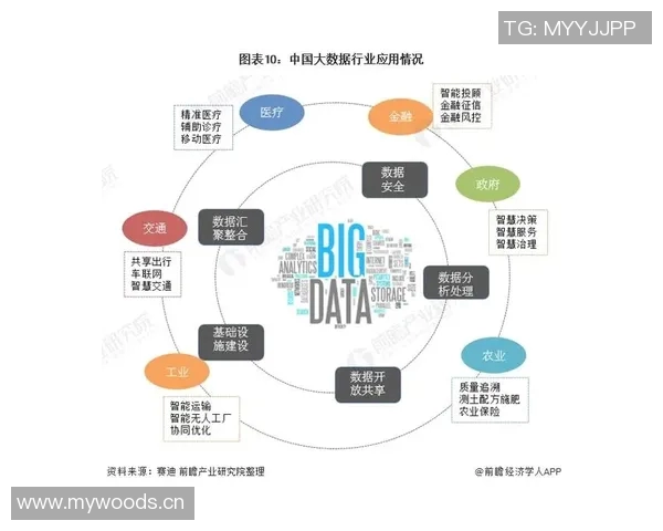 基于统计分析方法探索大数据时代社会经济发展趋势的多维度研究