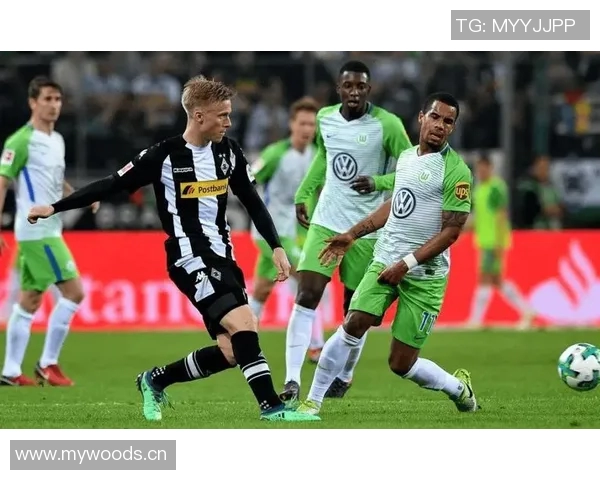 沃尔夫斯堡与门兴对决因意外事件中断球迷反应热烈