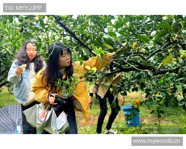 果园采摘乐：亲手体验丰收的喜悦与自然的馈赠