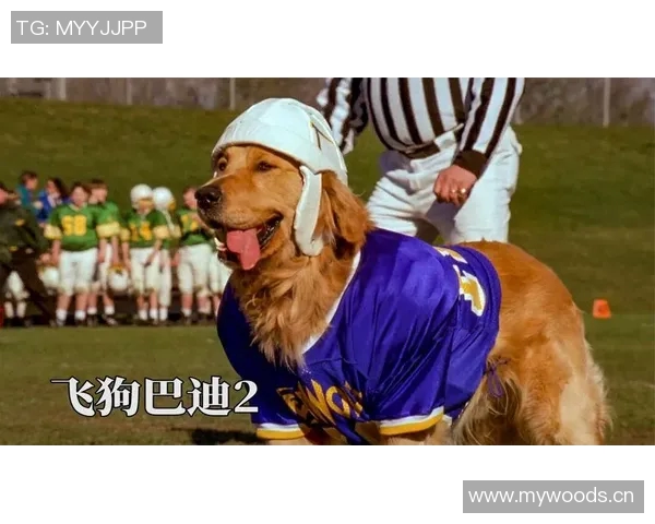 运动天才崛起之路:从天赋到成就的跨越与奋斗 运动天才崛起之路:从天赋到成就的跨越与奋斗