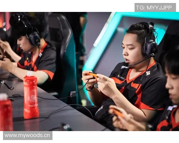 王者荣耀个人能力榜单揭晓LNG战队荣登第五名引发热议