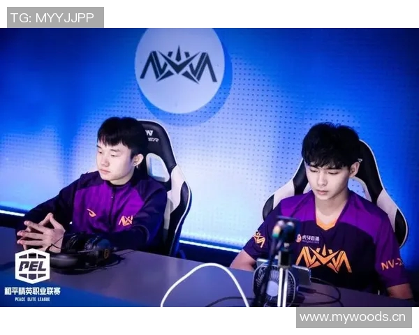 聚焦和平精英BLG战队灵活性策略与战术解析 聚焦和平精英BLG战队灵活性策略与战术解析