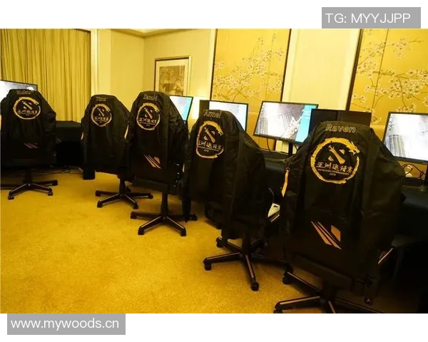 LNG战队在DOTA2战术排名中创新高展现强大实力与团队协作能力 LNG战队在DOTA2战术排名中创新高展现强大实力与团队协作能力