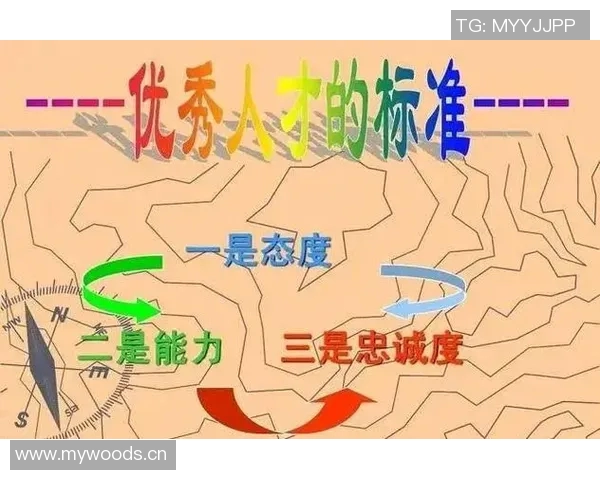 南京攀岩队协作能力分析与提升策略探讨